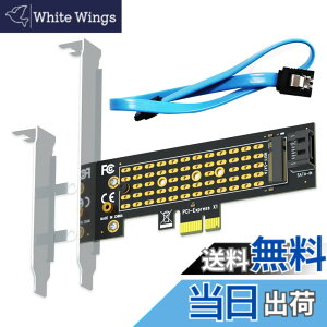 �y���������zGLOTRENDS PA09-SA M.2 SATA - SATA III PCIe�ϊ��A�_�v�^�[�J�[�h�AM.2 SATA SSD�̂��߂�
