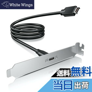 �y���������zGRAUGEAR USB 3.2 Gen 2 �t�����g�p�l���w�b�_�[ USB-C Type-C ���X�����P�[�u�� �p�l���}�E���g�l�W PCI�u���P�b�g�t�� �P�[�u����50cm [G-AD-ETC-10G]