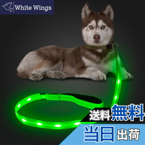 �y���������zCandofly ���ˌ^ LED ���p���[�h - �ÈłŌ��錢 ���C�g USB �[�d���Ɩ��t�����p���[�v�A4 �t�B�[�g�̑ϋv���̂���ϐ����_�Ō����[�h�A�y�b�g�̌��̖�̎U���p (��)