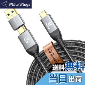 �y���������zGiGimundo USB 3.2 Gen 2x2 �P�[�u�� 2-in-1 USB-A/C to USB-C�y20gbpS�����f�[�^�]�� 4K 100W�}���[�d 4K@60Hz�f���o�� PD�Ή� �zThunderbolt 3/MacBook/iPad Pro/Switch��Type-C�@��Ή�(2m)