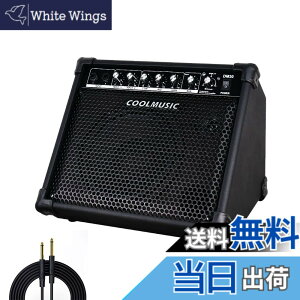 �y���������zCoolmusic DM30 AMP 30 ���b�g�d�q�h���� �A���v �L�[�{�[�h �A���v Aux ���͂� BT�A2 ���́A3 �o���h EQ �� DI �o��