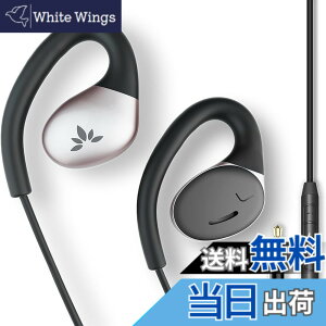 �y���������zAvantree Resolve �| �L���C���z�� 3.5mm AUX�W���b�N ���|���� �I�[�v���C���[ �}�C�N�t�� �����ǂ��Ȃ� �J���^ ���M����/�I�b ���ʒ��� �C���[�t�b�N�t�� �y�� �x���[�� �I�[�v���C��