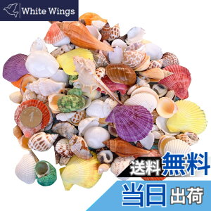 �y���������zsiawadeky �J���t�� �L�k 500g �A�\�[�g �Z�b�g �V�R�f�� �~�b�N�X �r�[�`�V�F�� ������/����/���A��/�h���t�g�{�g�� ���� �r�[�`���� DIY�p �ӏܗp �W���G���[ �A�N�Z�T���[�p�[�c 