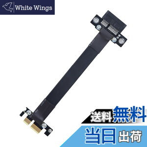 �y���������z10Gtek PCIE 3.0 �����P�[�u�� X1 to X1 �I�X-���X �X���b�g �X�g���[�g to �X�g���[�g �G�N�X�e���_�[���C�U�[�P�[�u�� ���h�~EMI�f�� 20cm(�S��24cm)