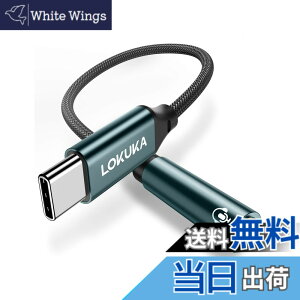 �y���������zLOKUKA usb c �C���z���W���b�N DAC���� �n�C���]�Ή� ���ϋv �ʘb/���ʒ���/���y�Đ��Ή� �C���z���ϊ��A�_�v�^ MacBook/iPad Pro/Air/Android/type c �@��p 20cm LC1