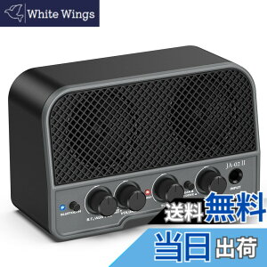 �y���������zLEKATO �~�j�M�^�[�A���v �G���L�M�^�[�A���v ���^ 2�T�E���h�`�����l�� �[�d�� 5W Bluetooth �@�\�Ή� �w�b�h�z���A���v �Z�K�F�؍� AUX���� ���� ���K�p ���{��戵�������t�� (�u
