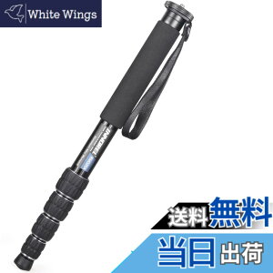 �y���������zINNOREL ��r �J�����p �R���p�N�g��r �A���~��r 12KG�ω׏d 5�i�L�k �g���x��/�쒹�B��/�����/�X�|�[�c�C�x���g�ɑΉ� ���s��r RM325A