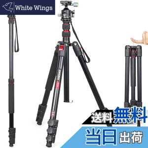 �y���������z��჌�t�O�r INNOREL �g���x���O�r ��r�ώ� �A���~�� 15KG�ω׏d 197CM�ő��ƍ��� 36MM��d�S�_��t�� �R���p�N�g�O�r �J�������~���[���X�p �y�� RT30+D36