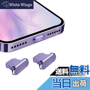 �y���������zVIWIEU Lightning �ی�L���b�v iPhone 14 13 12 11 Mini Plus Pro Max�p ���C�g�j���O�[�d�� �R�l�N�^ �[�q�ی�A�����A���~�� �� ���ϋv�h�o�v���O iPad mini Airpod�K�� �z�R�� �S�~�h�~ 2��(�f�B