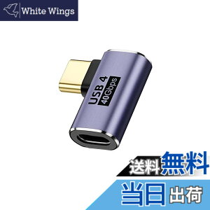 �y���������zUSB Type C ���p�A�_�v�^ ���X to ���X�y1�� �Z�b�g�z Popolier �y40Gbps�����f�[�^�]��&100W/5A�}���[�d& 8K@60Hz�f���o�́zUSB Type C �����A�_�v�^�^�C�v USB-C Type C �����R�l�N�^ USB4���X ����