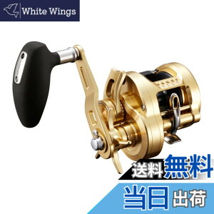 �y���������z�V�}�m(SHIMANO) 22 �I�V�A�R���N�G�X�g 300HG