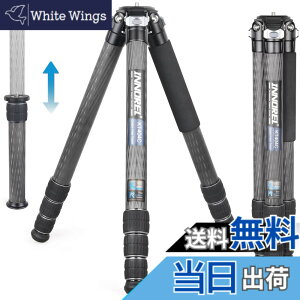 �y���������z�J�[�{�� �O�r ��^ INNOREL �J�����O�r 35KG �ω׏d 40MM�p�C�v �R���p�N�g�O�r 201CM�ő卂�x �쒹 ���� �V�̊ϑ� �v���� �����Z���^�[�|�[���t�� ���[�P�[�X KT404C