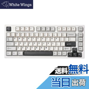 �y���������zYUNZII YZ75 75% �z�b�g�X���b�v�Ή����C�����X�Q�[�~���O�L�[�{�[�h RGB�o�b�N���C�g BT5.0/2.4G/USB-C�ADye Sub PBT�L�[�L���b�v Linux/Win/Mac�p �Z�K�F�؎擾�iGateron G Pro ����,�z���C�g)