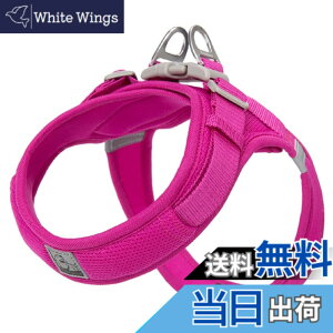 �y���������zcocomall �A�ɗD�������n�[�l�X 2023�ŐV TRUE LOVE���{�����X ���p�n�[�l�X ���p���� �h�b�O �y�b�g�p�i �n�[�l�X���[�h 3M���ˍޗ� �P�� �i�C������ ���^���A���^���A���^���Ɍ��� 