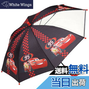 �y���������z�X�P�[�^�[(Skater) �q���p �P 45cm �J�[�Y 5~6�ˌ��� ��105~115cm ���w�� ���E���m�ۂł��铧�����t�� �w�����݂ɂ�����J���� 8�{�� �f�B�Y�j�[ ���̎q UB45-A