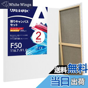 �y���������zAUREUO �ȉ��@���a ����L�����o�X F50 (116.7cmX91.0cm) 2�� - ���ڕz ���ʉ�E���G��E�A�N�������p - ���_���A�[�g�E�|�b�v�A�[�g�ɍœK