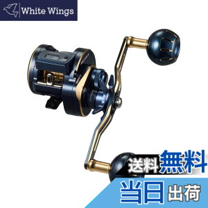 �y���������z�_�C��(DAIWA) �J�E���^�[�t�L�I�t�V���A�x�C�g���[�� �\���e�B�KIC 100HL-DH