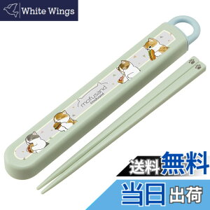 �y���������z�X�P�[�^�[(Skater) �� �����Z�b�g mofusand ���t�T���h 16.5cm �q���p �R�� ���{�� ABS2AMAG-A