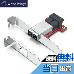 �y���������z10Gtek Mini SAS�A�_�v�^�[ SFF-8643 to SFF-8644 �f���A���|�[�g Mini SAS �A�_�v�^�[