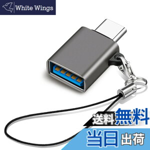 �y���������zUSB Type C & USB �ϊ��A�_�v�^ 1�Z�b�g Popolier USB3.2 Gen2 10Gbps�����]�� �^�C�vC �ϊ� OTG�Ή� MacBook Pro 2021 MacBook Air 2022 iPad Pro 2021 �y�� �ق���USB-C�@��ȂǂɑΉ� USB-C�ϊ��R�l�N�^ (1, 