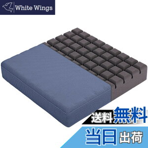 �y���������zHAVARGO ���z�c �N�b�V���� ���� �ʋC ������ �֎q�N�b�V���� ���K���ɂ��Ȃ�Ȃ� ���ԂƂ� ��41cm����7.5cm (41X41, �u���[)