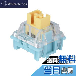 �y���������zEPOMAKER Sea Salt �É����J�j�J�� �L�[�{�[�h�X�C�b�`�Z�b�g LED�X���b�g�t�� �����ς� ���j�A �Q�[�~���O�L�[�{�[�h�p �L�[�{�[�h�J�X�^�}�C�Y�p 35�s�[�X(Seasalt Slient,Linear)