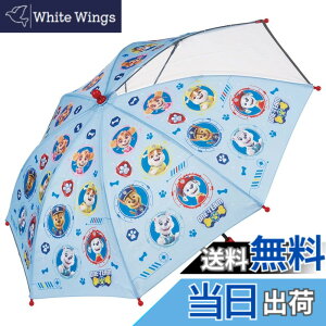 �y���������z�X�P�[�^�[(Skater) �q���p �P 45cm �p�E�p�g���[�� 5~6�ˌ��� ��105~115cm ���w�� ���E���m�ۂł��铧�����t�� �w�����݂ɂ�����J���� 8�{�� �j�̎q UB45-A
