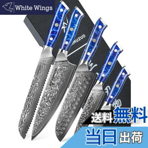 �y���������zSANMUZUO Chef Cooking Knives Set- Kitchen Knife Set of 5 Piece - Ultra-Sharp VG10 Damascus Steel & Resin Handle - Xuan Series (Sapphire Blue)
