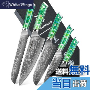 �y���������zSANMUZUO Chef Cooking Knives Set- Kitchen Knife Set of 5 Piece - Ultra-Sharp VG10 Damascus Steel & Resin Handle - Xuan Series (Jade Green)