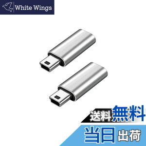 �y���������zYFFSFDC USB C to �~�jUSB �ϊ��A�_�v�^ 2�Z�b�g USB C (���X) - Mini USB(�I�X)�A�_�v�^�[ USB Mini B�I�Xto USB C �ϊ��R�l�N�^ �[�d�ƃf�[�^�]�� �ϊ��A�_�v�^�[ (�V���o�[)