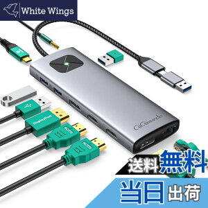 �y���������zGiGimundo LK10 10-in-1 Type-C �h�b�L���O�X�e�[�V���� MacBook Air M1 M2�Ή� Displaylink�Ή� �f���A��4 K 60 Hz�o�� 3xUSB3.2 Gen2 10Gbps /2xHDMI �i4K@60Hz �j / USB-C PD100W /RJ45�C�[�T�l�b�g /3.5mm�I�[�f�B�I