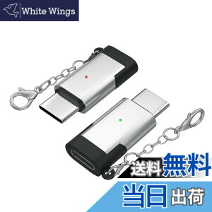 �y���������zARKTEK lightning typec �ϊ��A�_�v�^�[ 2�Z�b�g ���C�g�j���O���� usb-c �ϊ� ���C�g�j���O (���X) �^�C�vc (�I�X) �ϊ��R�l�N�^ �[�d�\ Xperia One V Note 20 Galaxy S25 pixel 9/8/7 iphone 17 16�V