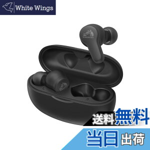 �y���������zJVC�P���E�b�h Victor HA-A20T ���C�����X�C���z�� Bluetooth �{�̎���4.2g�i�Ў��j���^�y�ʃ{�f�B �ő�24���ԍĐ� �����h���d�l Bluetooth Ver.5.3 �I���W�i���X�e�b�J�[�t�� HA-A20T-B �u���b