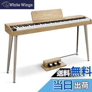 �y���������zDonner �d�q�s�A�m 88���� �ł񂵂҂��� �x���V�e�B�Z���V�e�B�u���� �^�b�` MIDI 3�{�y�_�� �X�^���h �A�_�v�^�[�t �����݂�������ؐ� ���S�� �R���p�N�g ���{������� �I�[�N�� 