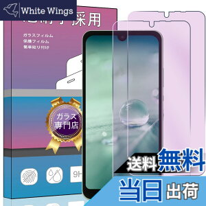 �y���������z�y�u���[���C�g�J�b�g 2���Z�b�g�z�Ή� AQUOS Wish / Wish2 SH-51C �K���X�t�B���� 2.5D���E���h�G�b�W���H 9H�d�x �u���[���C�g�J�b�g �Ή� SHG06 / SH-M20 / A104SH / SH-51C �t���ی�t�B���� 