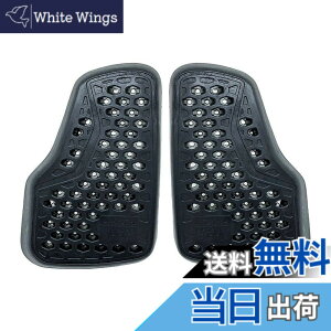 �y���������z��C���i(NANKAI) AIR TEC DC �`�F�X�g�v���e�N�^�[ CE Level2 SDP-C004
