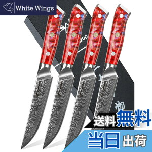 �y���������zSANMUZUO Steak Knives Set of 4, Ultra Sharp Non Serrated Kitchen Steak Knife 5 Inch - Damascus Steel & Resin Handle - Xuan Series (Sunset Red)