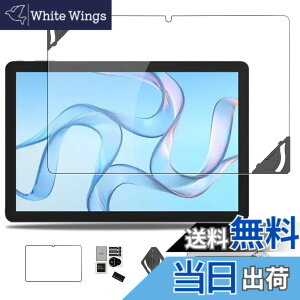 �y���������zWIRELESS GATE wg_tablet_01 �p �t�B���� �ی�t�B���� �K���X�t�B���� �yNOUKAJU�z Hi10 XPro 10.1�C���` �����K���X�t�B���� ���t���t���[���t�� �����ߗ� �d�x9H ��U�h�~ �C�A�h�~ �w��