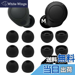 �y���������zA-Pcas �C���[�s�[�X Sony�p�C���[�s�[�X WF-C700n�p�C���[�s�[�X WF-C500 �p WF-1000XM4�p WF-1000XM3�p ���K �t�B�b�g�� ���������� ���K ���􂢉\ �V���R���� �y�u���b�N M�T�C�Y 6�y�A�z(