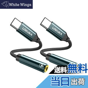 �y���������zLOKUKA usb c �C���z���W���b�N 2�Z�b�g�y�n�C���]�Ή� 24bit DAC�����z ���ϋv �ʘb/���ʒ���/���y�Đ��Ή� type c �C���z���ϊ��A�_�v�^ MacBook/iPad Pro/Air/Android/usb type c �@��p 20cm LC1