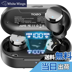 �y���������zTOZO Tones Dots�iT12�j ���C�����X�C���z�� �ɏ�̉��̌� ���͂��@�ׂȉ� LED�f�B�X�v���C�d�r�c�ʕ\�� �h�����\ ENC�m�C�Y�L�����Z�����O �J�X�^��EQ ��p�A�v���Ή� �^�b�`���� 