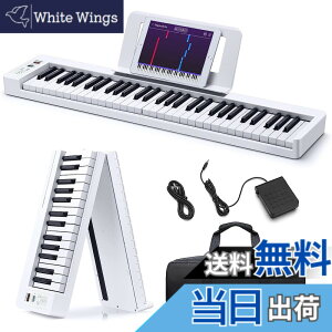 �y���������zDonner �d�q�s�A�m �L�[�{�[�h 61���� �܂��� �o�b�e������ �����ԗ��p�\ MIDI�Ή� �^�b�`���X�|���X�@�\ �y�� �g�ѕ֗� �y�_���t�� �L�[�{�[�h�P�[�X ���ʑ�t�� ���{��戵