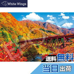 �y���������z�G�|�b�N�� 1000�s�[�X �W�O�\�[�p�Y�� ���{���i �H����̍������J�ƃg���b�R�d�ԁ[�x�R (50x75cm) 09-053s �̂�t�� �w���t�� �_�����t�� EPOCH