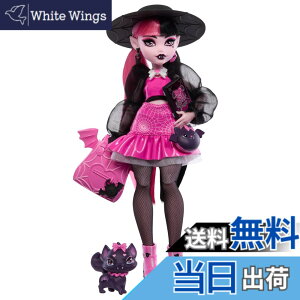 �y���������zMonster High �h���L�����E���l�` �y�b�g �R�E���� �J�E���g �t�@�r�����X & �o�b�N�p�b�N�A�X�y���u�b�N�A�ٓ����Ȃǂ̃A�N�Z�T���[