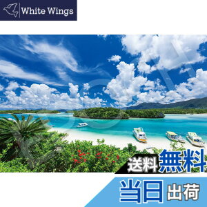 �y���������z�G�|�b�N�� 1000�s�[�X �W�O�\�[�p�Y�� ���{���i �Ί_���̕ɂ��C-���� (50x75cm) 09-039s �̂�t�� �w���t�� �_�����t�� EPOCH
