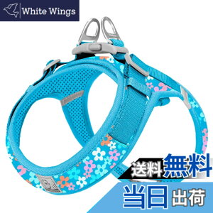 �y���������zcocomall �A�ɗD�������n�[�l�X 2023�ŐV TRUE LOVE���{�����X ���p�n�[�l�X ���p���� �h�b�O �y�b�g�p�i �n�[�l�X���[�h 3M���ˍޗ� �P�� �i�C������ ���^���A���^���A���^���Ɍ��� 