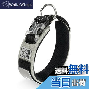 �y���������zcocomall���{�����X 2023�ŐV����� ���̎�� ���^�A���^�A��^���p �y�b�g�p�i 3M���ˍޗ� �i�C������ �ʋC�� �e�͐� �\�t�g ���߉\ ������� ���p�P�� (M, �O���[)
