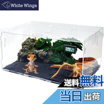 楽天市場】爬虫類 ケージ レプロの通販