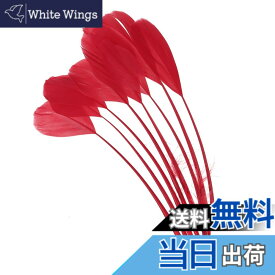 【送料無料】PATIKIL 15-20cm ガチョウの毛 50個入り バルク天然羽毛 工芸 カーニバル 手作り 衣装 ウエディング パーティー スタイル4 レッド
