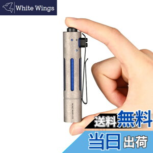 �y���������zACEBEAM Rider RX 2.0 EDC �����d�� LED ���^ �y�� ���� ���邳�ő�1000���[���� �t���b�V�����C�g �P�O�Ή� IP68�h�� ����̎����^�сA�A�E�g�h�A�A�o�R�A�n�k�ЊQ�ȂǂɓK���Ă��܂� (